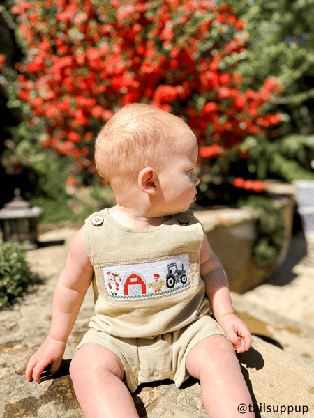 mud pie 1st birthday dress Mud Pie first birthday outfit 12-18m