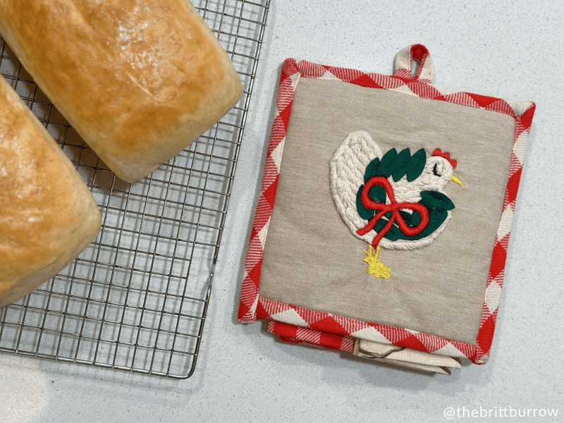 Mud Pie Chicken Pot Holder and Towel - Thumbnail 3
