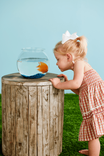 Gingham Smocked Toddler Dress Stylish Toddler 4T-5T Dress | Mud Pie Gingham Smocked Toddler Dress Stylish Toddler 4T-5T Dress | Mud Pie