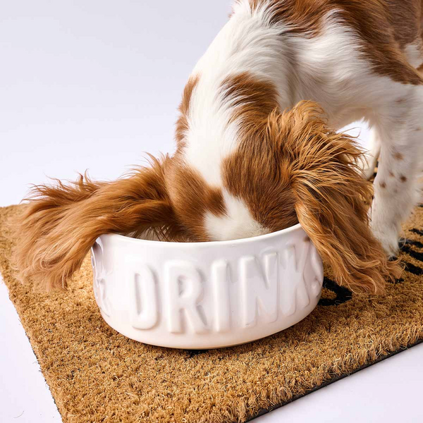 Dinner or Drinks Chinoiserie Dog Bowl