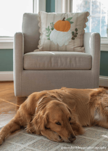 Mud Pie Scallop Pumpkin Pillow - Thumbnail 5
