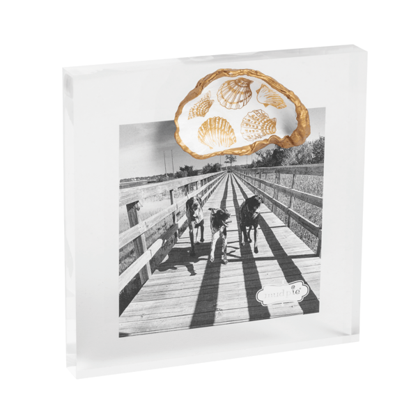 Gold Shell Picture Frame Decorative Gold Shells Oyster Frame | Acrylic 3