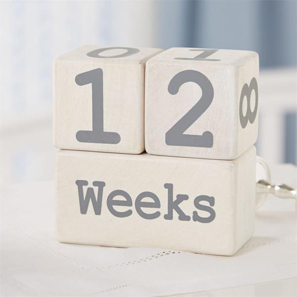 Milestone Baby Month Blocks Mud Pie